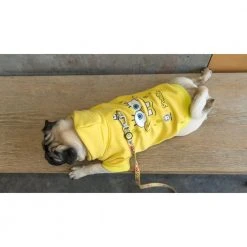 Fresh_pawz Pet Products SpongeBob SquarePants Big Face Pet Hoodie