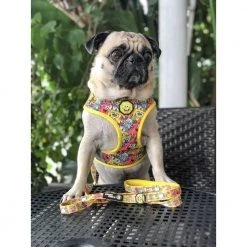 Fresh_pawz Pet Products SpongeBob SquarePants And Friends Adjustable Mesh Pet Harness